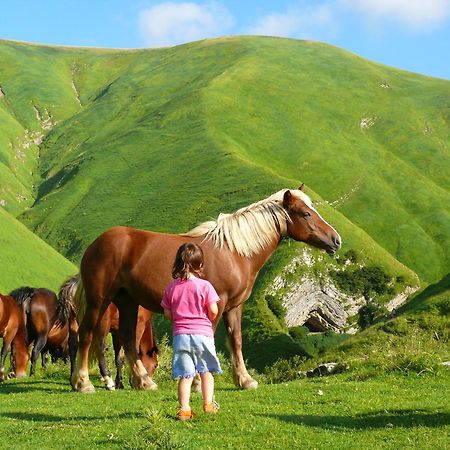 Agroturismo Mari Cruz Villanueva de Arce Ngoại thất bức ảnh