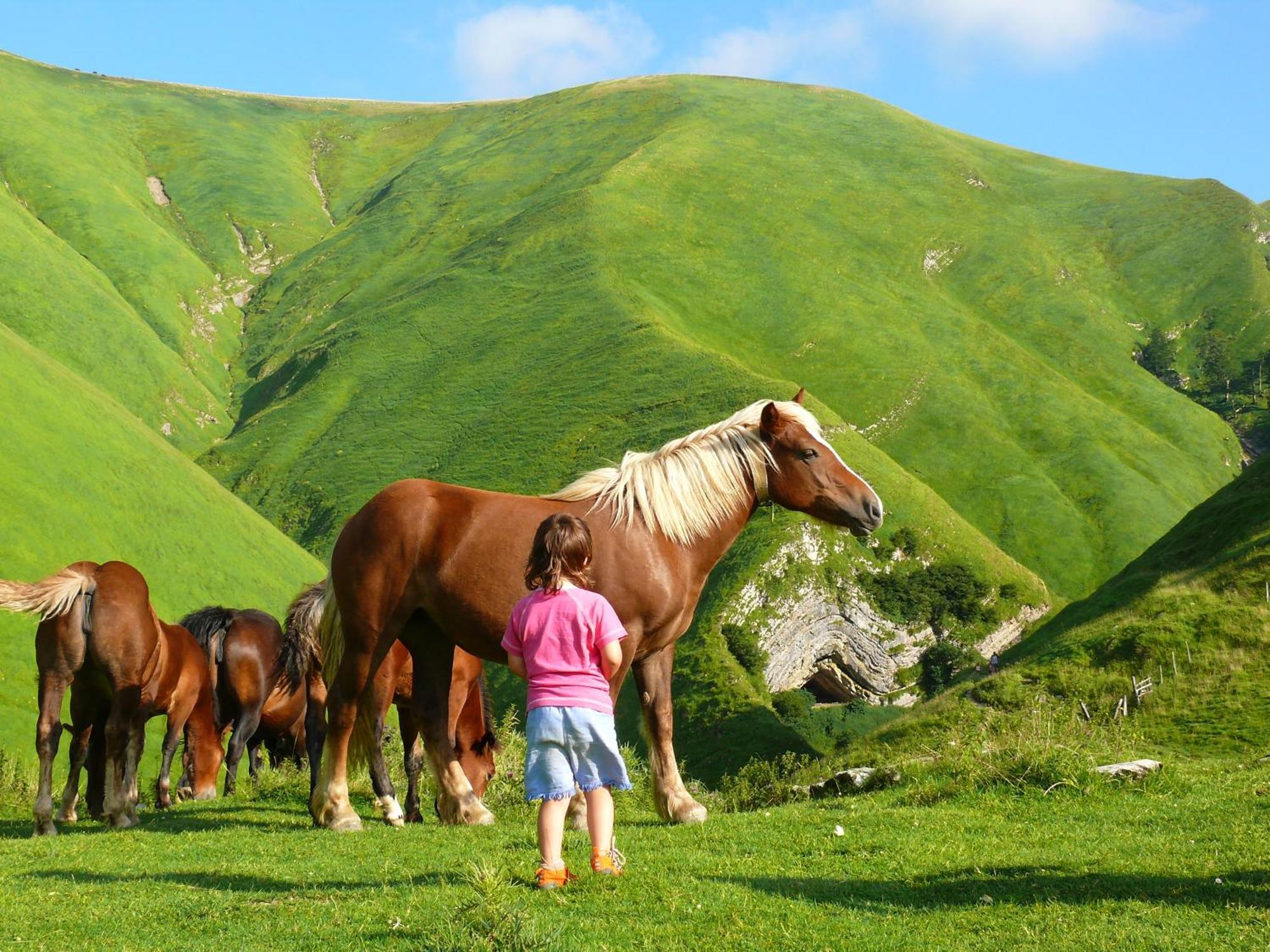 Agroturismo Mari Cruz Villanueva de Arce Ngoại thất bức ảnh