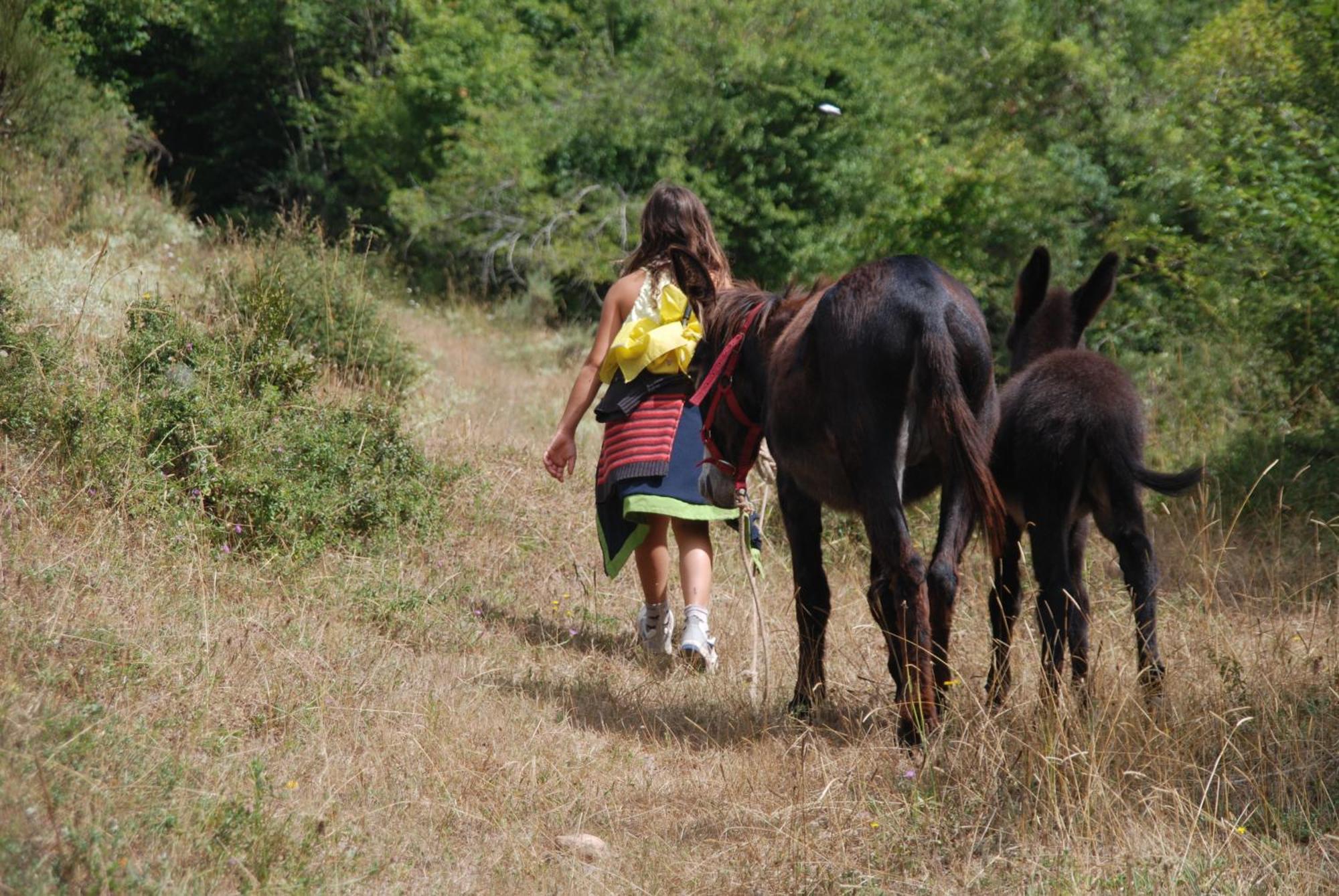 Agroturismo Mari Cruz Villanueva de Arce Ngoại thất bức ảnh